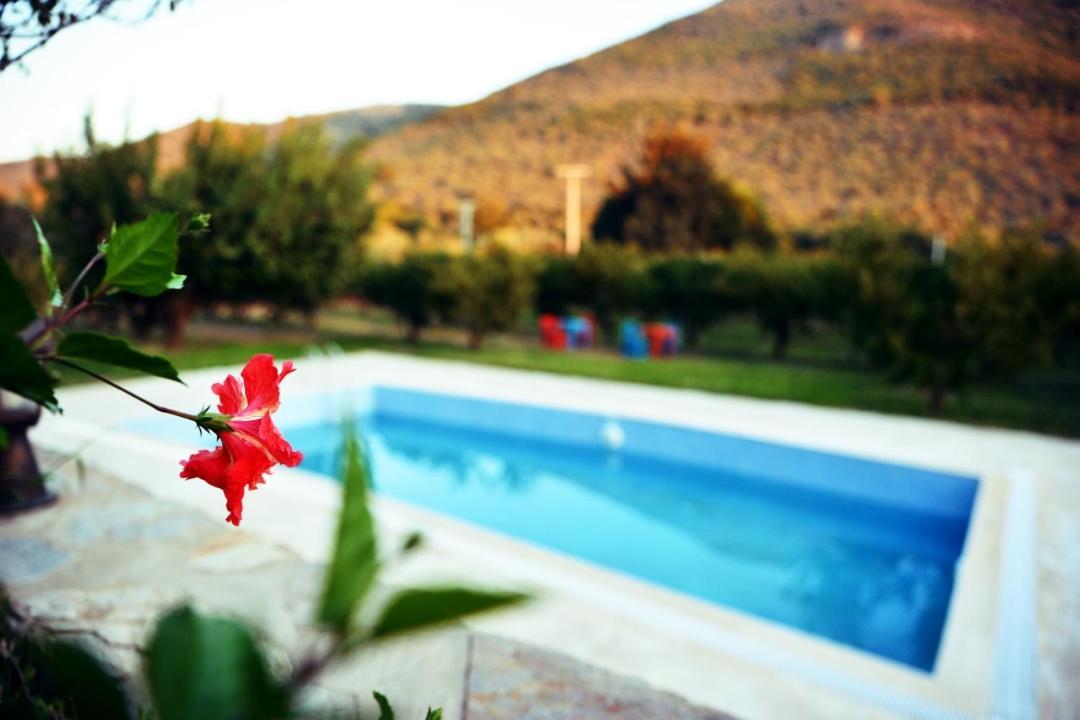Hotel Pir Efes Konaklari Smirne Esterno foto